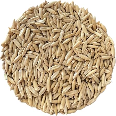 STEAMED ROLLED FEED OATS 50#