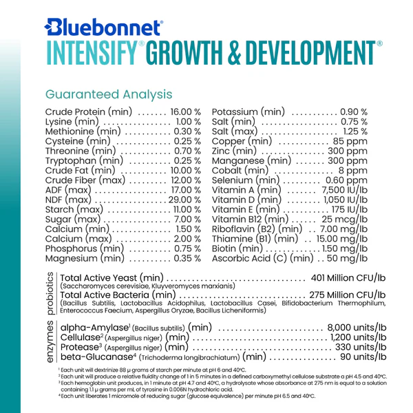 Bluebonnet, Intensify Growth & Development
