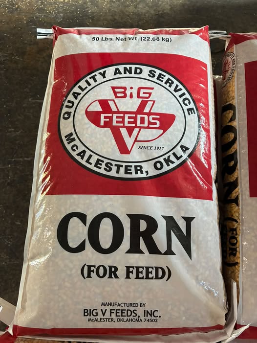 Whole CORN 50#, triple cleaned