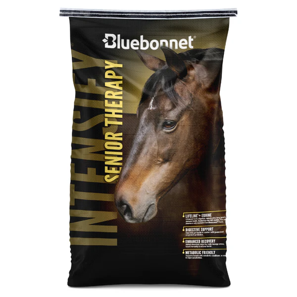 Bluebonnet, Intensify Senior  Therapy