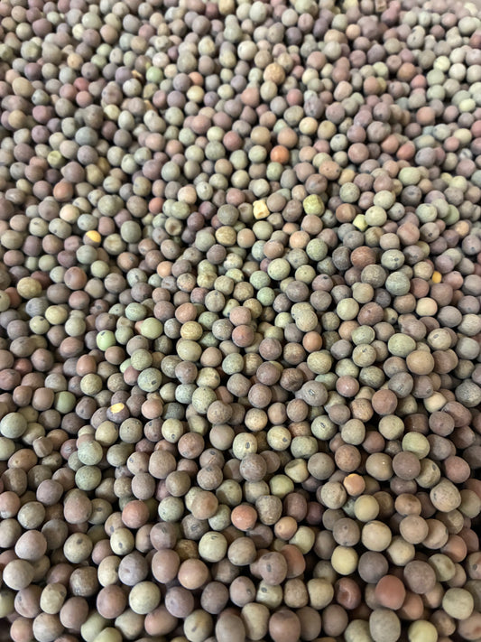Austrian Winter Peas