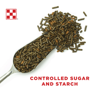 Purina, Strategy Healthy Edge