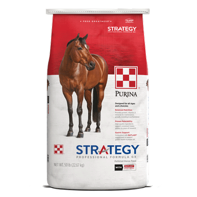 Purina, Strategy GX