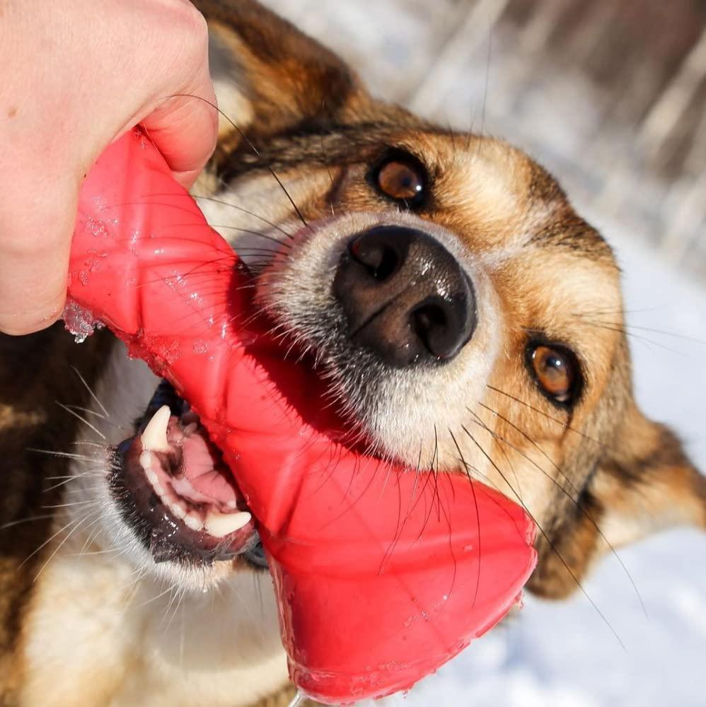 Barbell Dog Toy for Small Medium and Large dogs