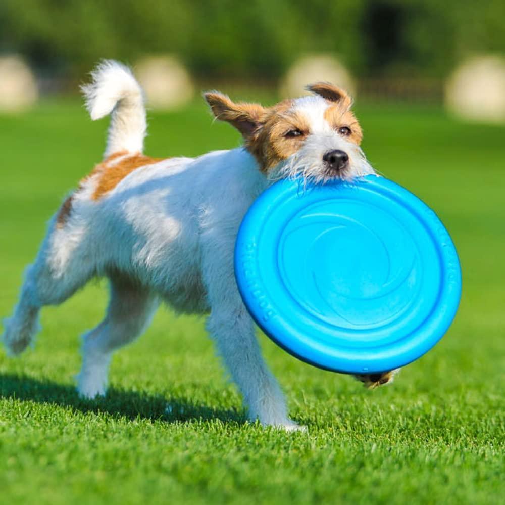 Outdoor Floating Flying Disk for Small Medium and Large dogs