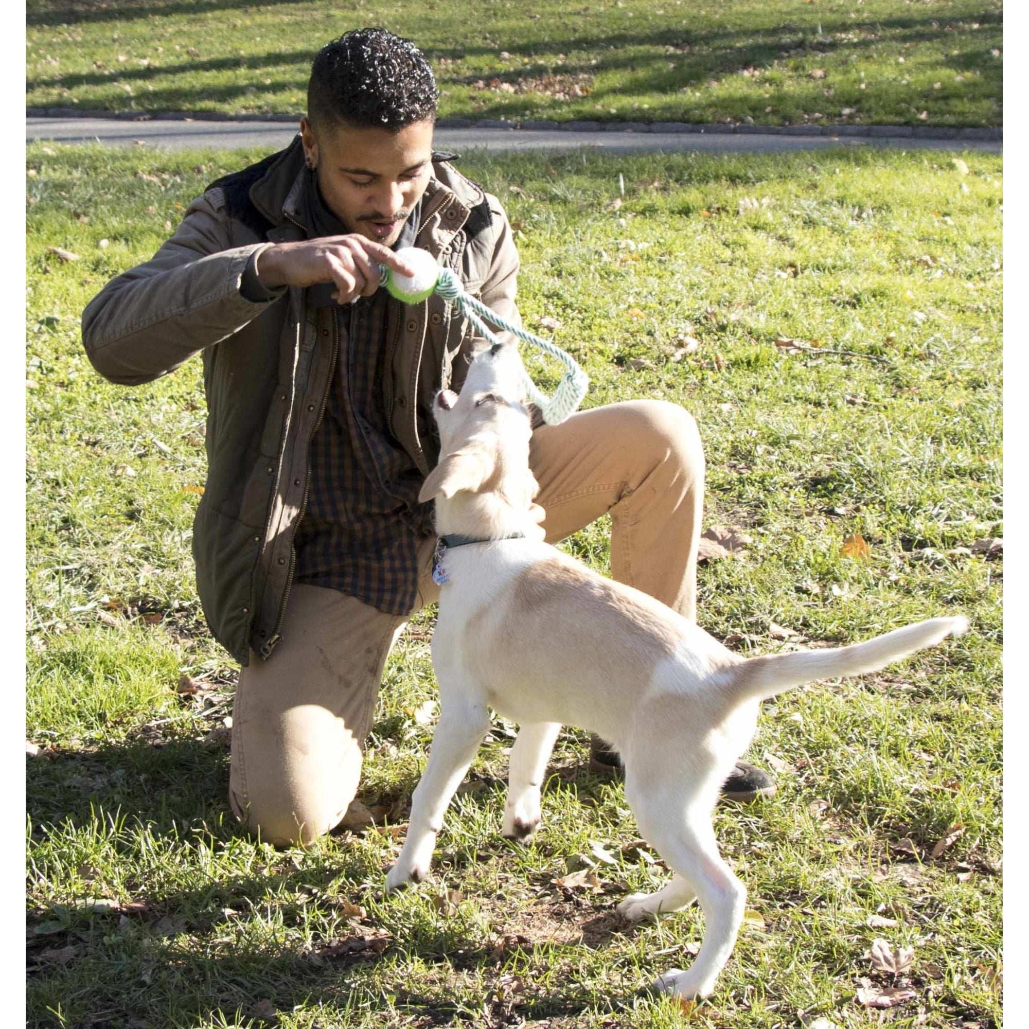 Pull Away' Rope And Tennis Ball