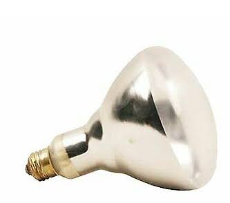 Durvet 250W, CLEAR Heat lamp BULB